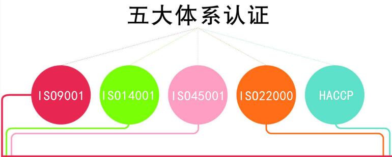 五大體系認證